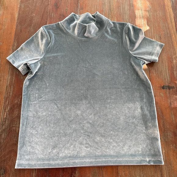 Madewell Tops - Madewell Velvet Tee Women's Short Sleeve Mock Neck Light Green XS